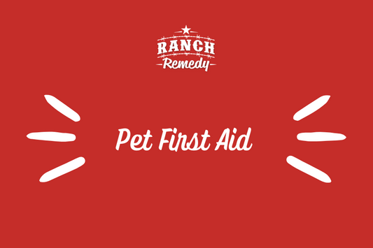 pet first aid tips and tricks pet first aid kit