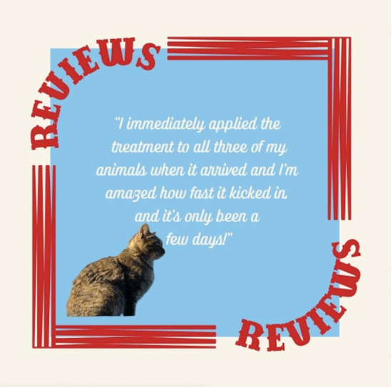 Review of Ranch Remedy from a cat owner of how Ranch Remedy aided in her cat's skin condition.