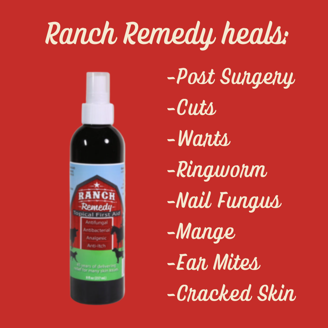 Ranch Remedy pet first aid spray bottle. Label reads "Ranch Remedy Topical First Aid. Antifungal, antibacterial, analgesic, anti-itch." Ranch Remedy heals post surgery, cuts, warts, ringworm, nail fungus, mange, ear mites, and cracked skin.