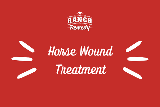 The Best Horse Wound Treatment