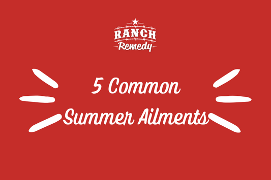 5 Common Summer Animal Ailments