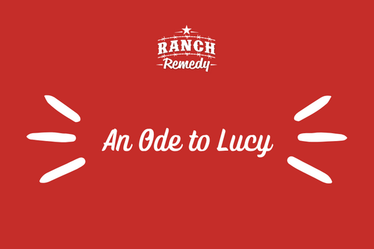 An Ode to Lucy