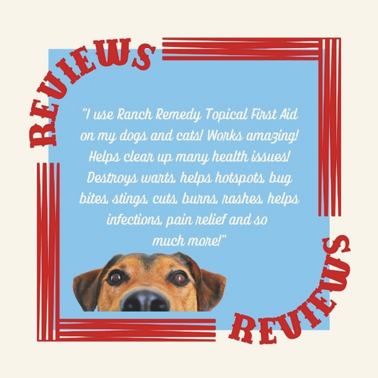 Ranch Remedy review from a dog owner of how Ranch Remedy Topical First Aid helped her dog's skin issues (hotspots, bug bits, cuts, burns, and rashes in dogs).