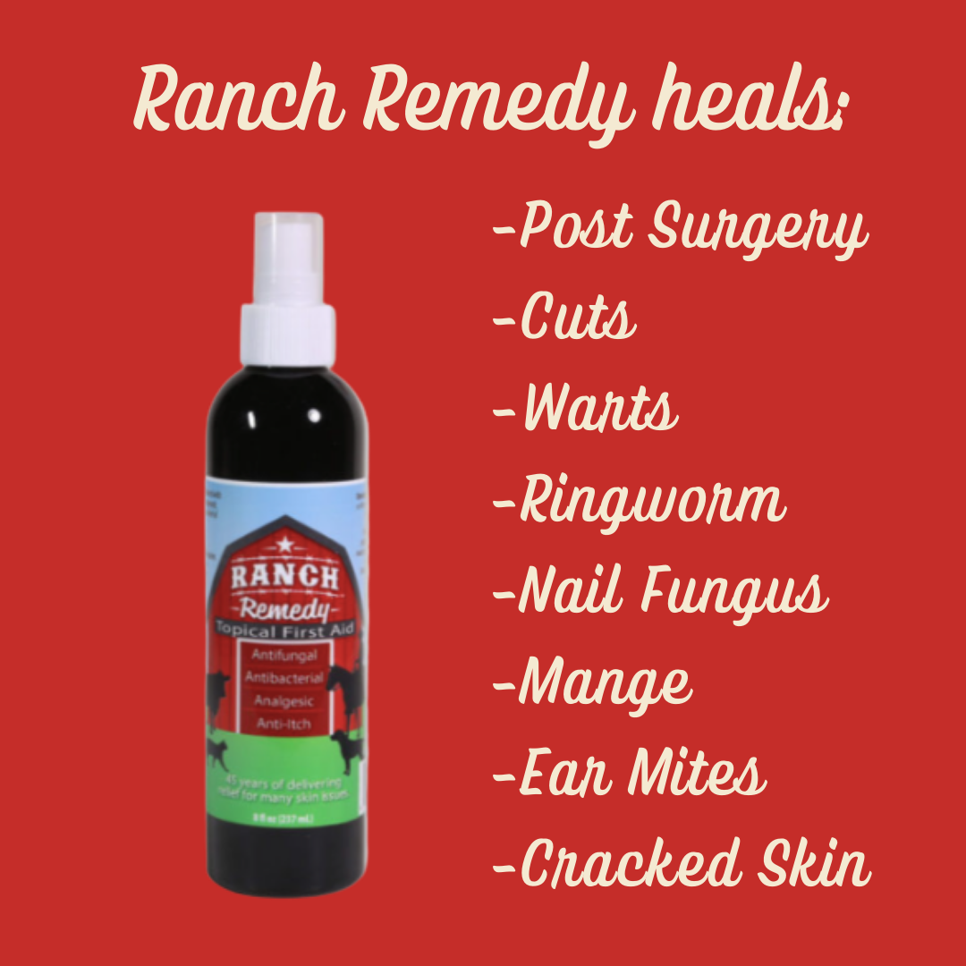 Ranch Remedy pet first aid spray bottle. Label reads "Ranch Remedy Topical First Aid. Antifungal, antibacterial, analgesic, anti-itch." Ranch Remedy heals post surgery, cuts, warts, ringworm, nail fungus, mange, ear mites, and cracked skin. 