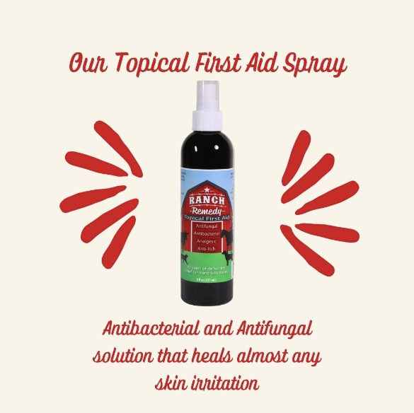 How to Treat a Dog Paw Infection at Home – Your Ranch Remedy